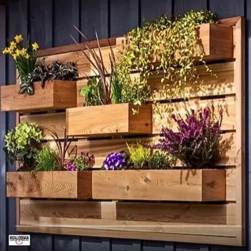 Curated visual reference: Picture Idea: The Latest Wood Siding Trends Durability And Sustainability
